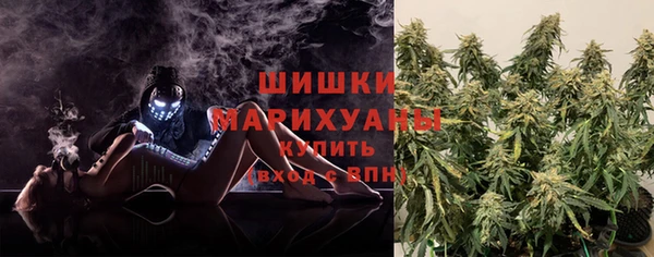 хмурый Лиски