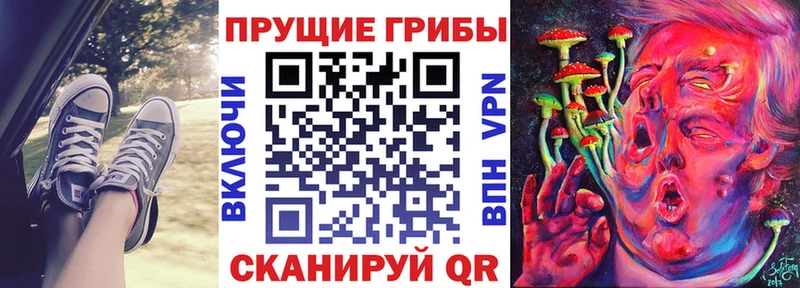 blacksprut онион  Шумиха  Галлюциногенные грибы Cubensis 